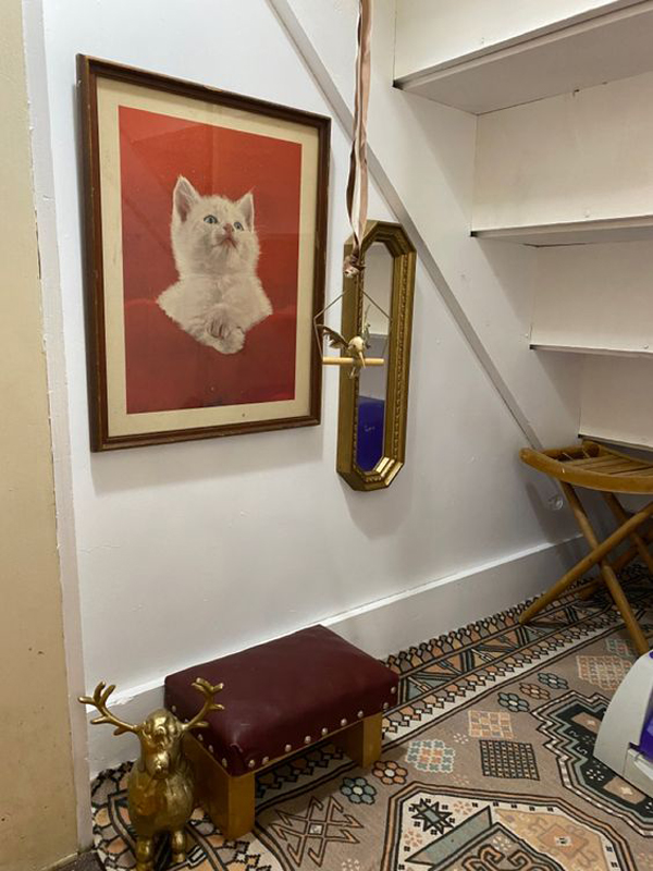 glam-cat-room-design-in-under-stairs