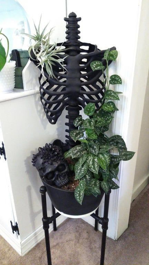 black-skeleton-plant-shelf-for-indoor
