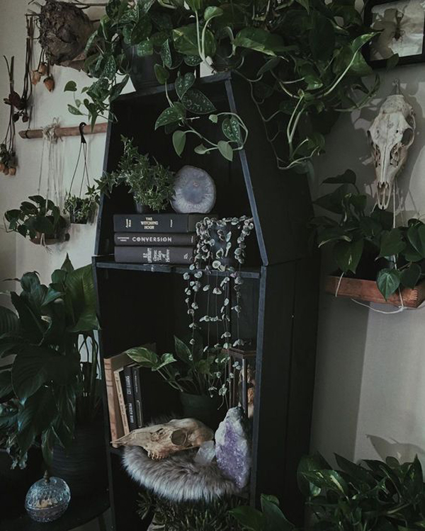 gothic-coffin-plant-and-bookshelf-decor-for-halloween