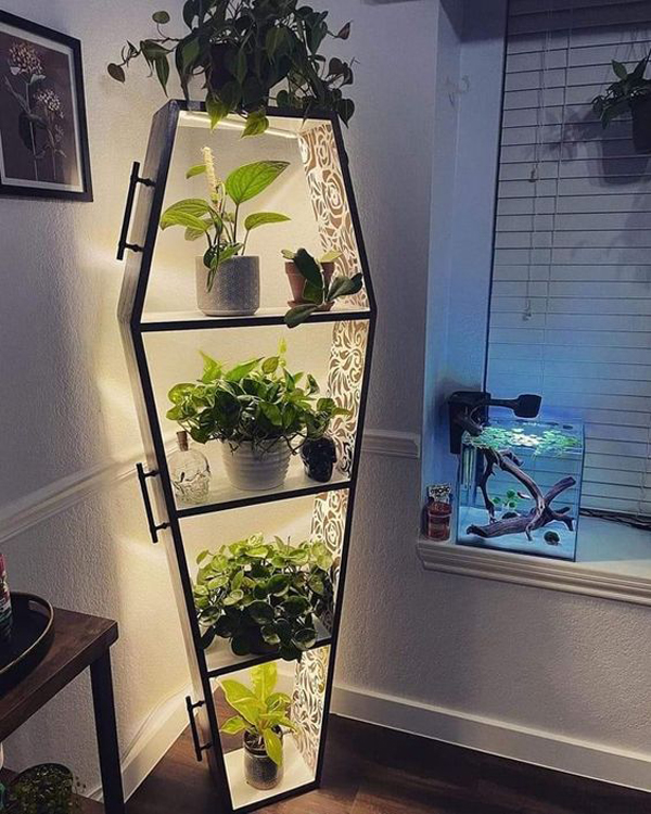 modern-plant-coffin-shelf-for-halloween