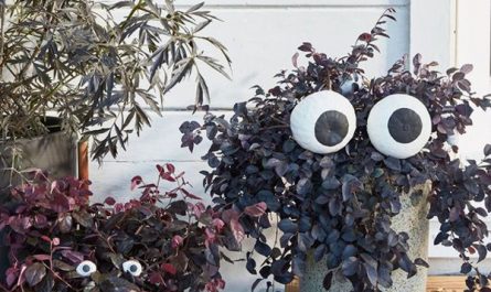 outdoor-halloween-planter-decor-with-eye-ball