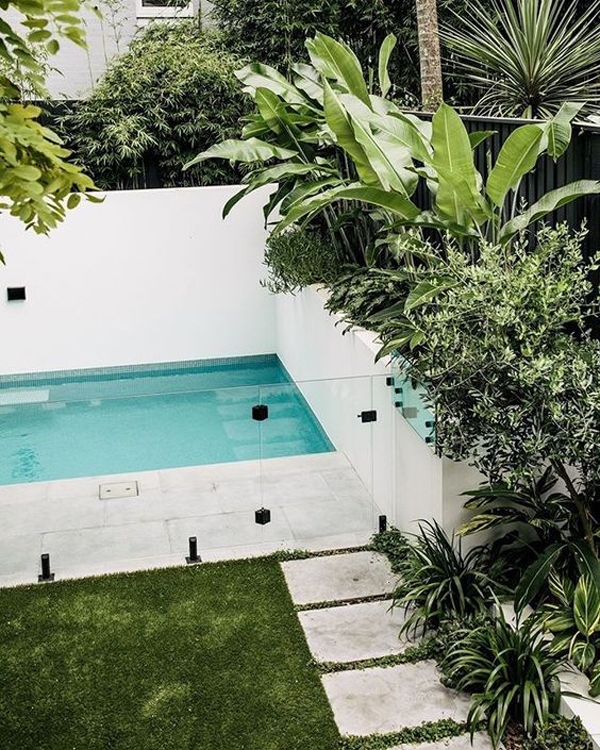 backyard-mini-swimming-pool-with-glass-fence