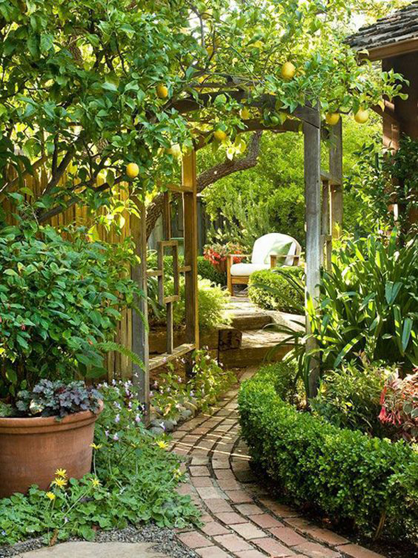 cozy-secret-backyard-with-orange-fruit-trees