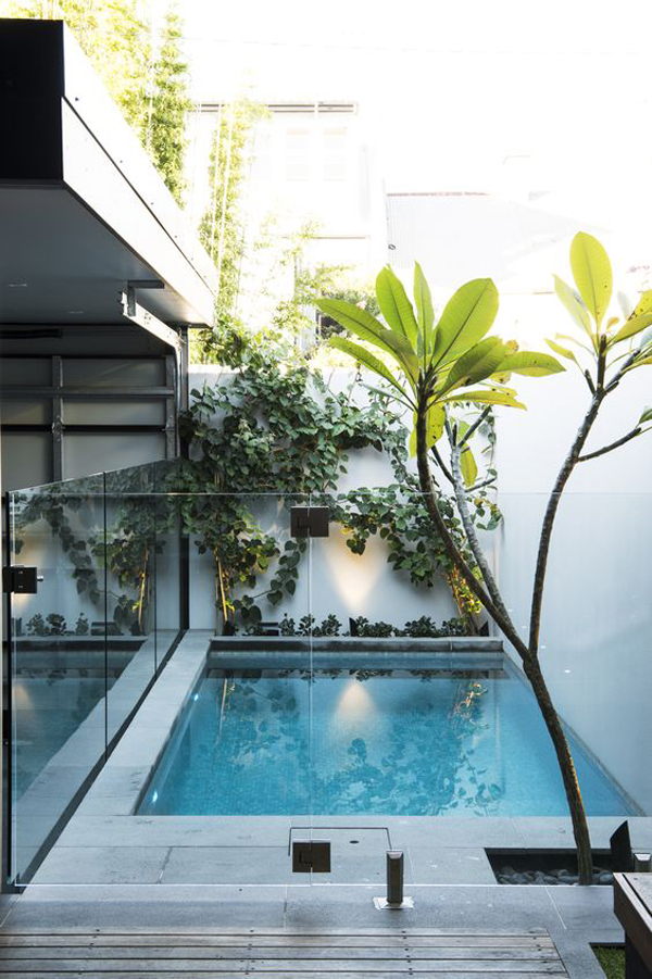 indoor-mini-swimming-pools-with-glazed-fence