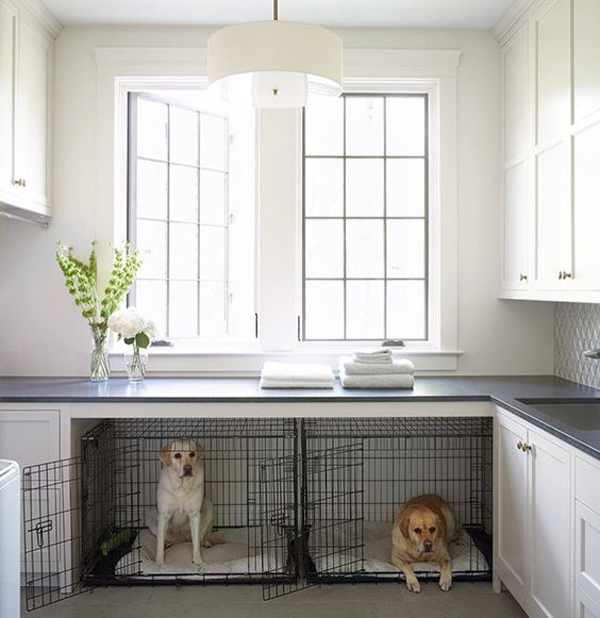 modern-dog-crates-in-the-kitchen
