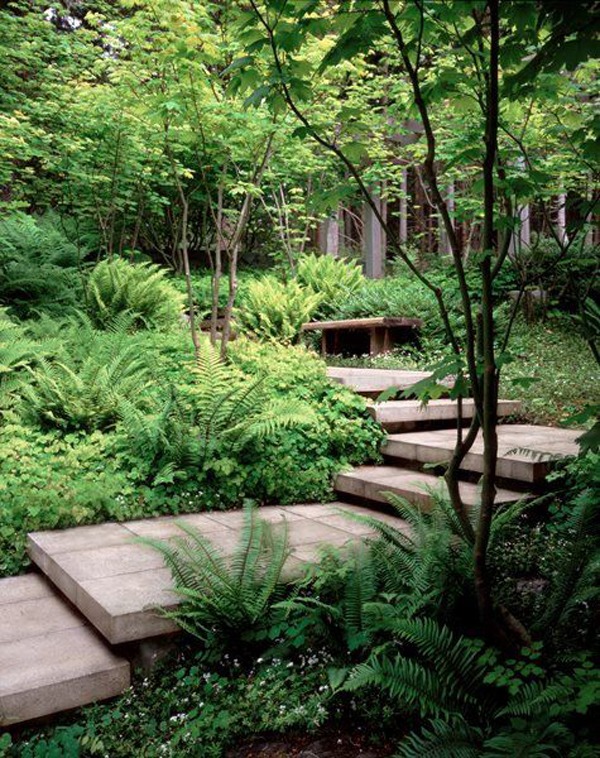 backyard-jungle-garden-with-stone-pathway