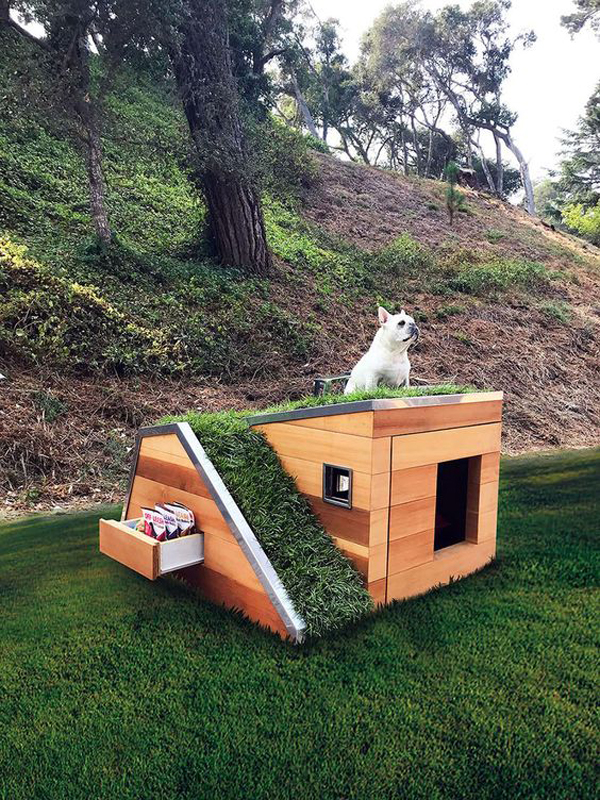 modern-dog-playhouses-with-grass-architecture