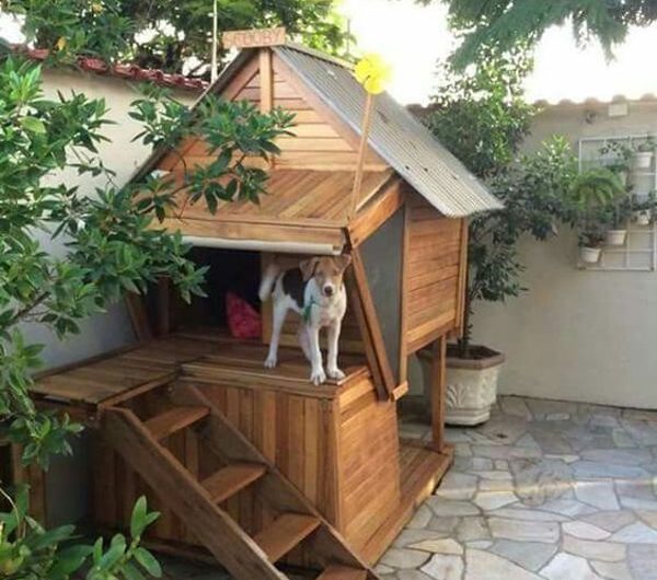 20 Creative DIY Dog Playhouse Ideas For Outdoors