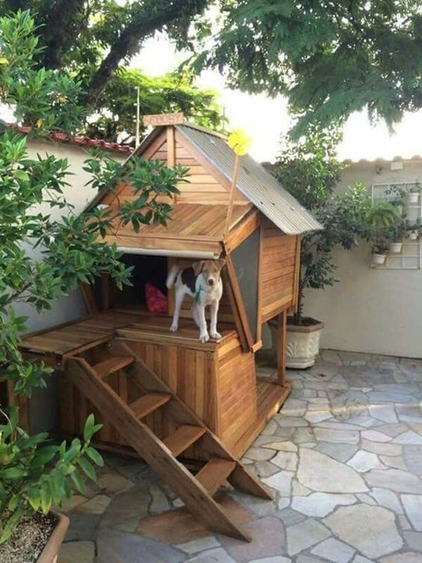 outside-dog-house-and-play-areas
