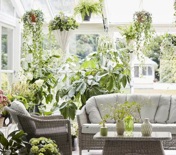20 Fresh Room Extension Ideas With Greenery