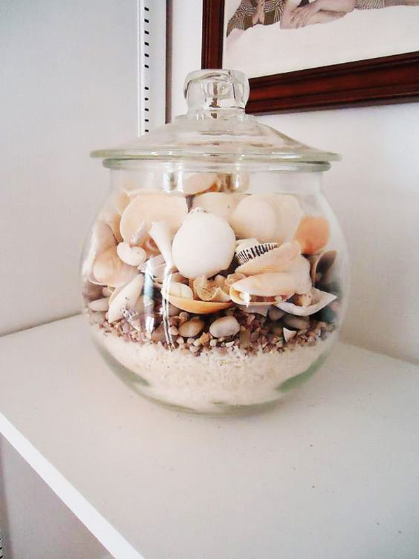 seashells-glass-display-ideas