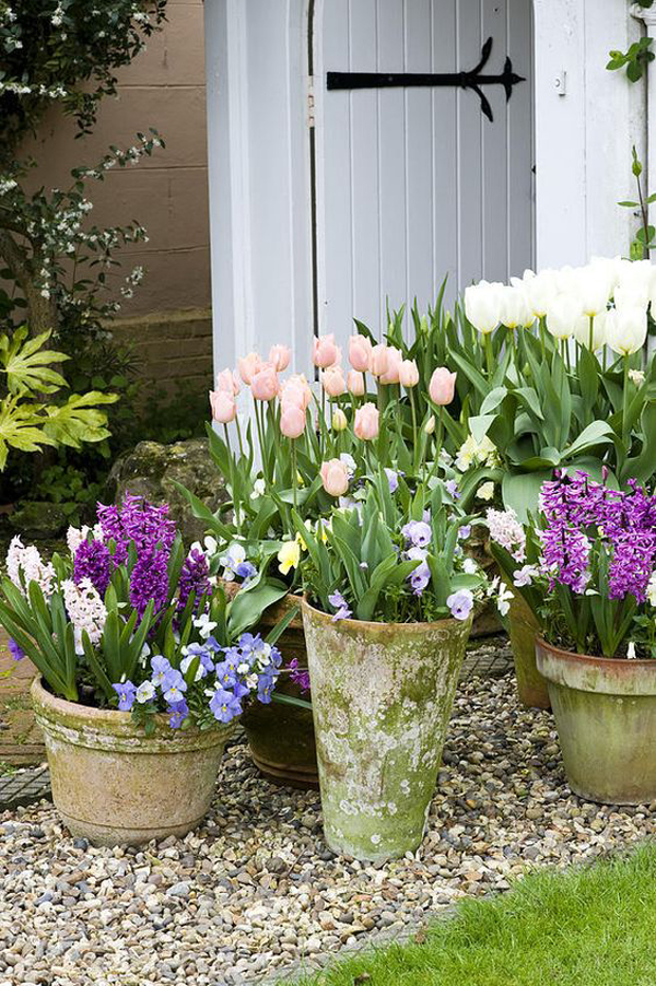 beautiful-spring-container-garden-pots
