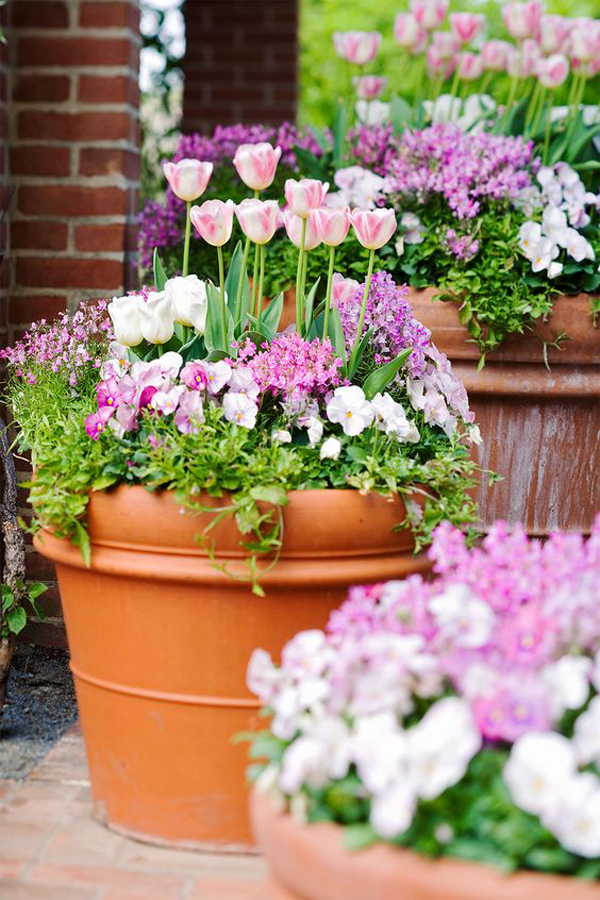 bright-bulbs-container-gardens-for-spring