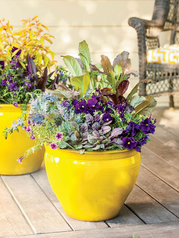 colorful-spring-container-garden-with-yellow-pots