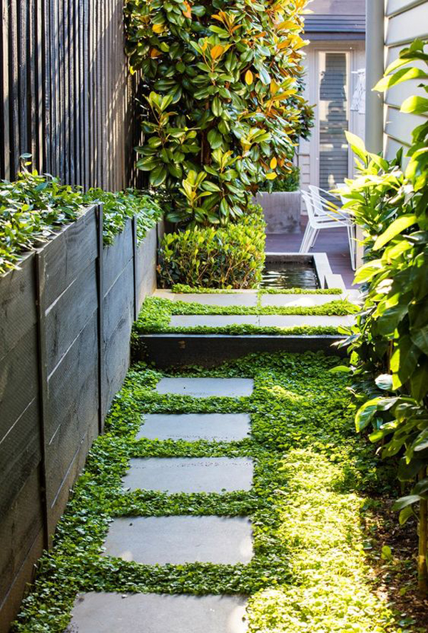 small-yard-garden-with-stepping-stones