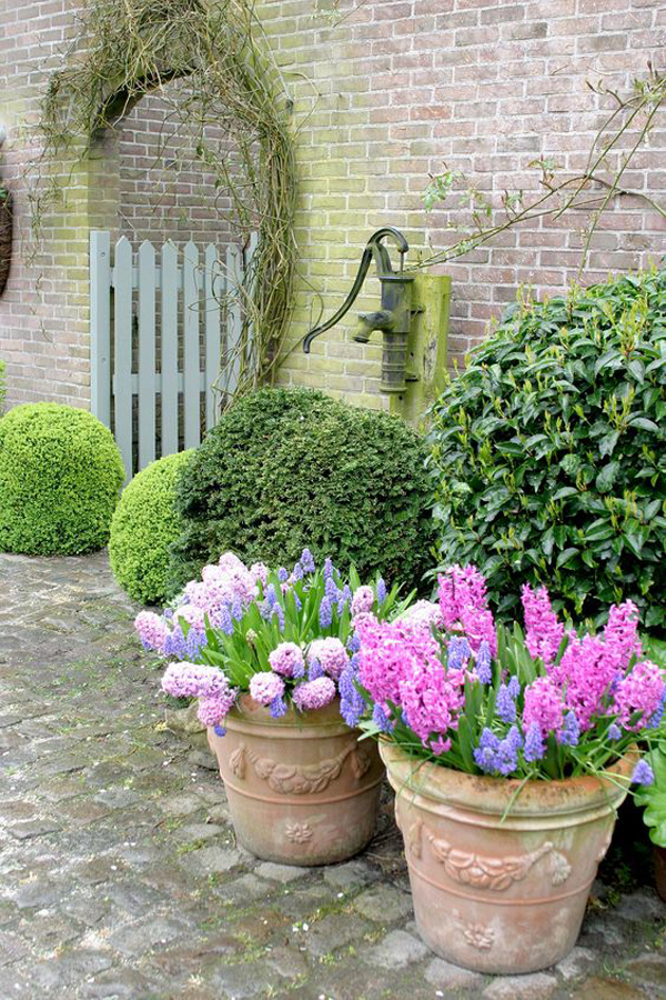 spring-container-garden-with-terracota-pots