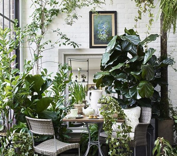 12 Most Refreshing Forest Garden Ideas For Indoors
