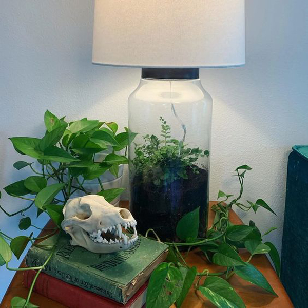 cool-diy-terrarium-lamp-ideas