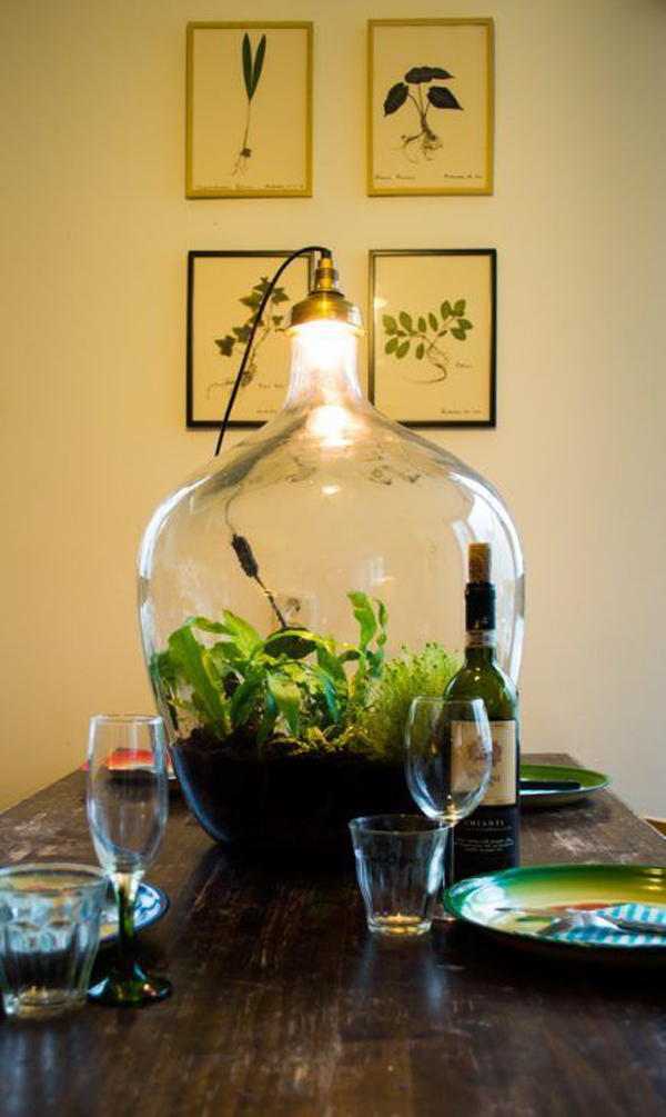 diy-terrarium-bottle-lamp-for-dining-table