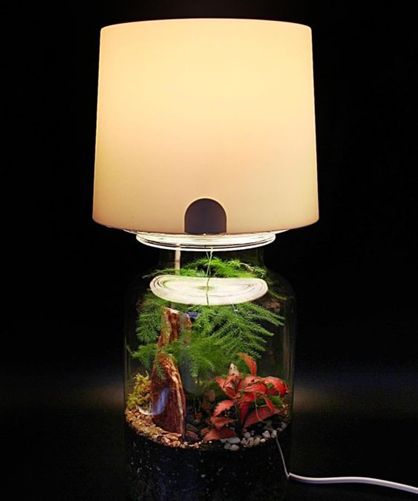 diy-terrarium-lamp-for-miniature-garden
