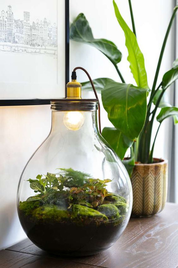 diy-terrarium-lamp-in-bottle