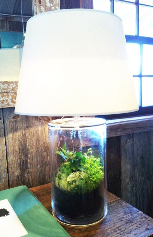 minimalist-diy-terrarium-table-lamp
