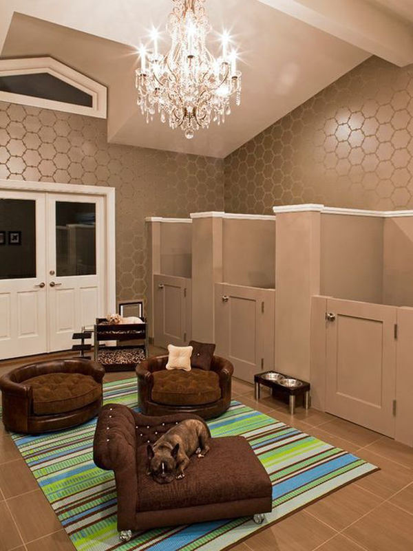 glam-shared-dog-room-decor-ideas