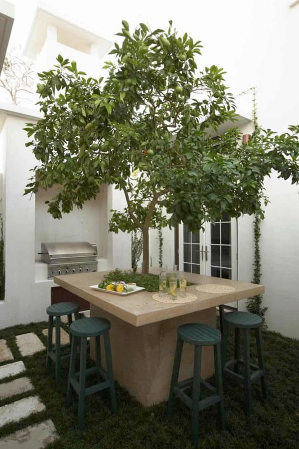 outdoor-kitchen-with-bar-around-trees
