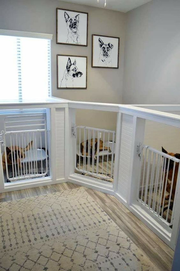 shared-three-dog-kennel-in-the-corner