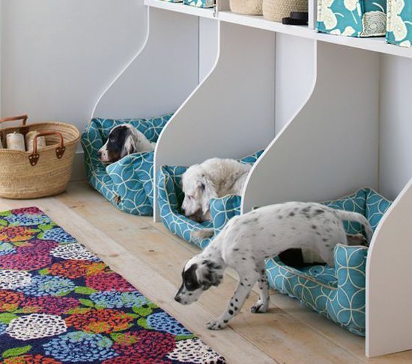20 Cozy Shared Dog Room Ideas For Small Spaces