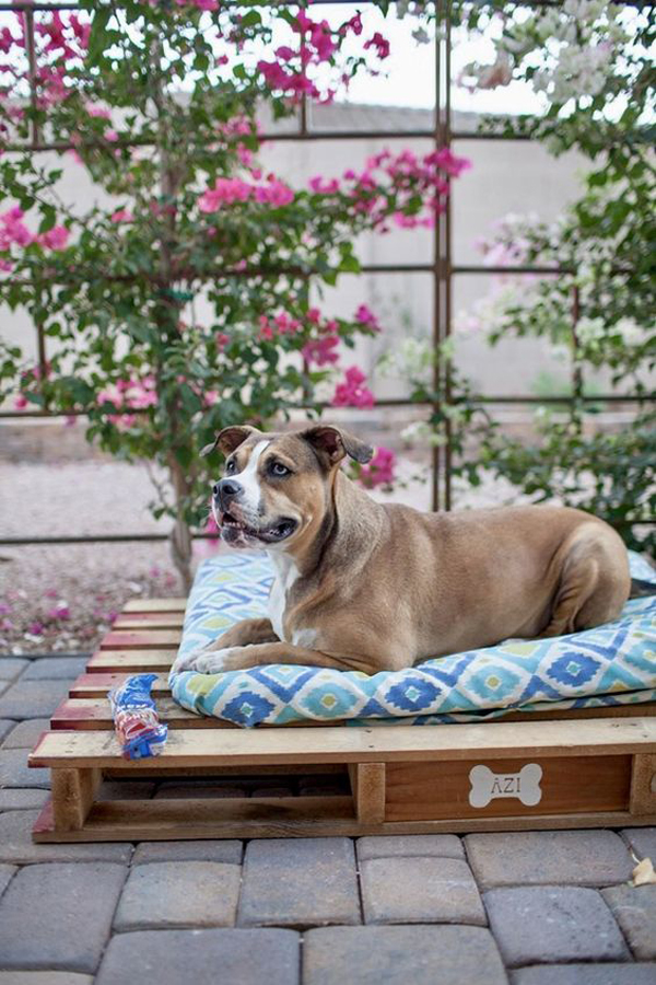 diy-pallet-dog-beds-for-outdoor