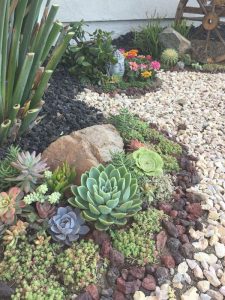 22 Easy And Small Outdoor Succulent Garden Ideas | Housetodecor.com