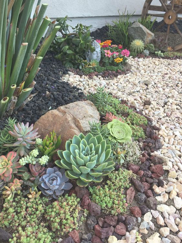 easy-diy-outdoor-succulent-garden-for-backyard