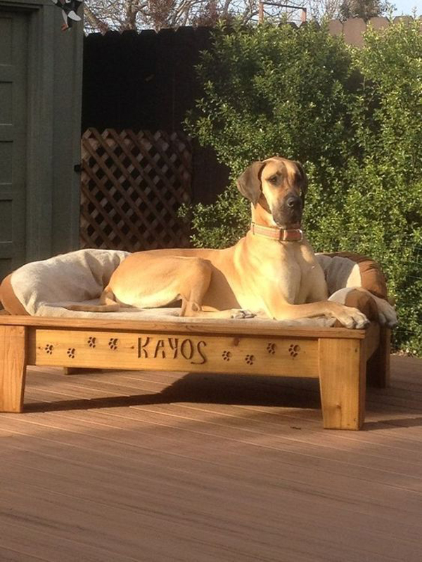 homemade-diy-dog-bed-design-for-outdoor