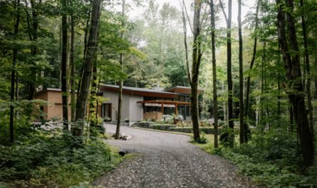 oakhill-house-with-maple-tree-forest-landscapes