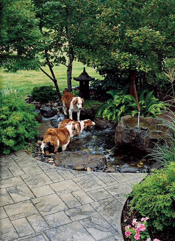 outdoor-dog-pond-and-playground-ideas