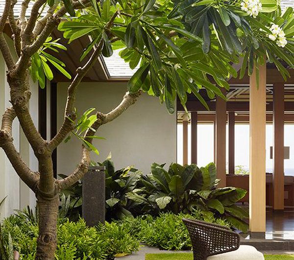 7 Shady Plant Ideas For Outdoors And Gardens
