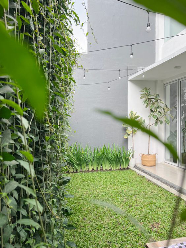 small-backyard-with-lee-kwan-yew-walls