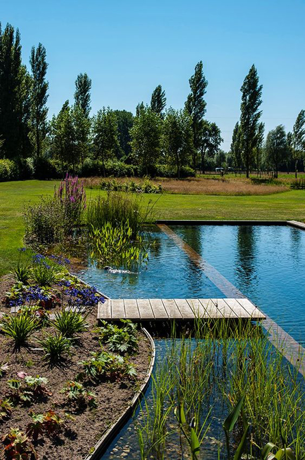 beautiful-natural-swimming-pools-with-bridge-deck