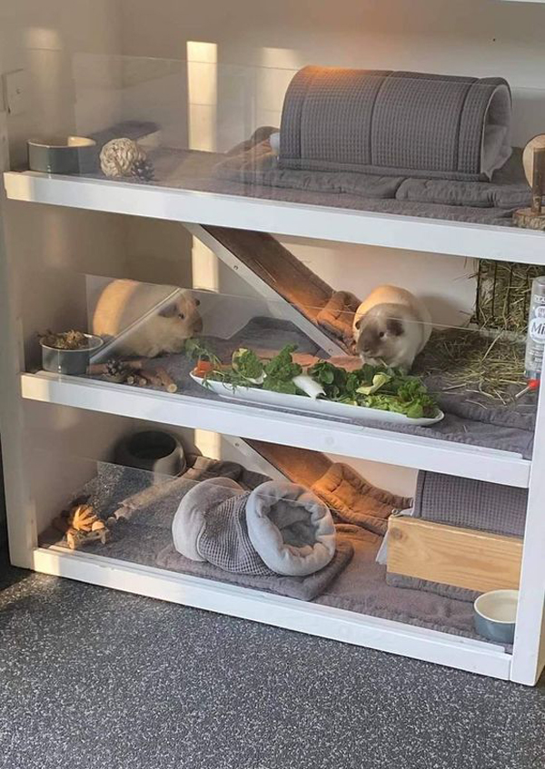 diy-guinea-pig-cage-cabinet