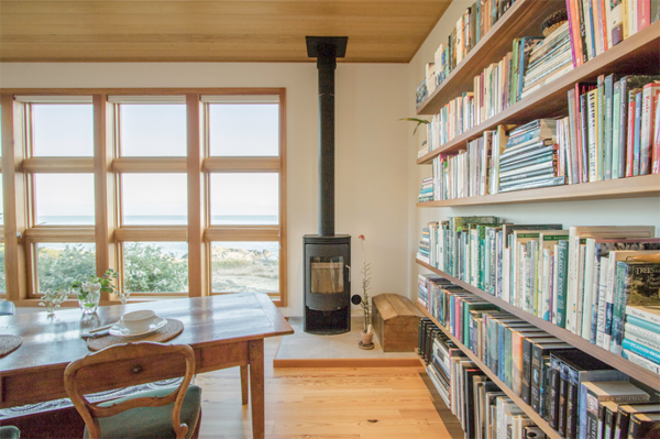 eco-home-library-with-wood-accent