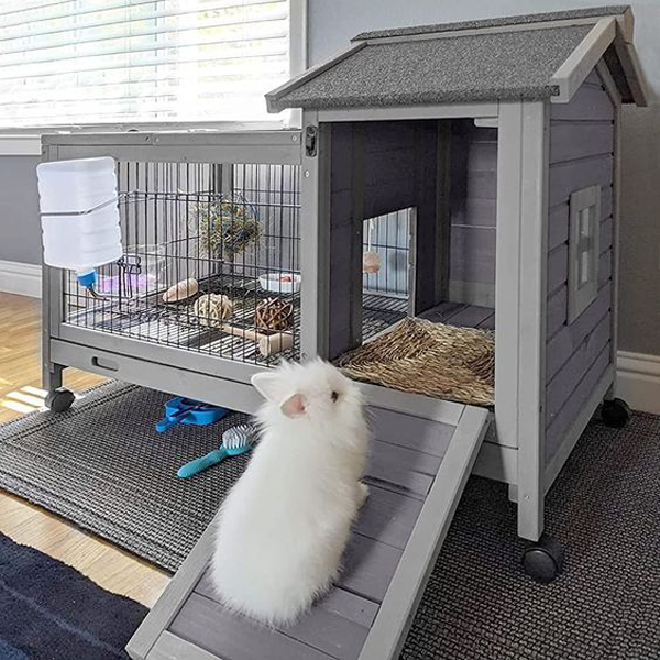 guinea-pig-houses-with-ladder