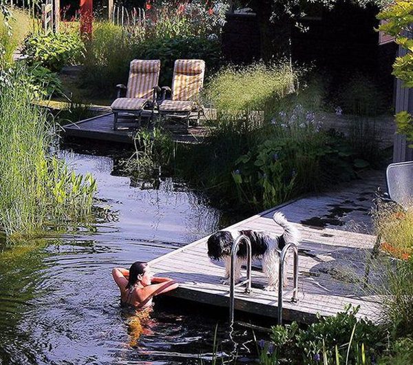 25 Amazing Swimming Ponds That Close To Nature