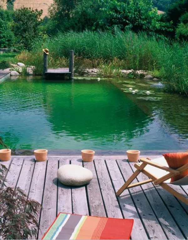 relaxing-backyard-swimming-ponds