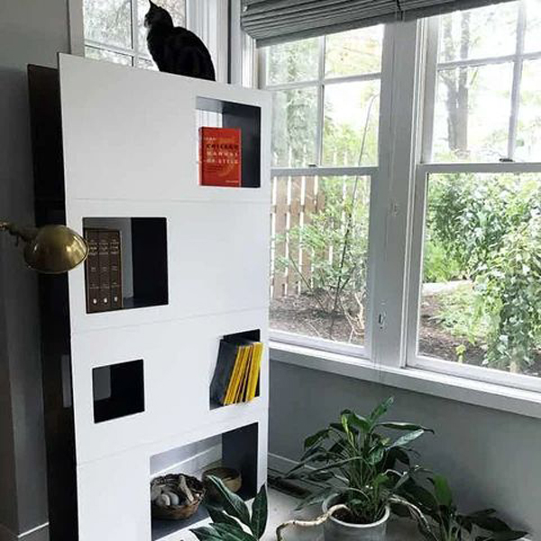 simple-pet-friendly-room-divider-with-bookcase