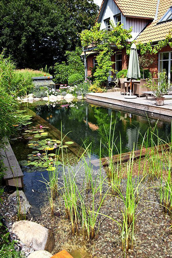 small-wood-pools-with-natural-accents