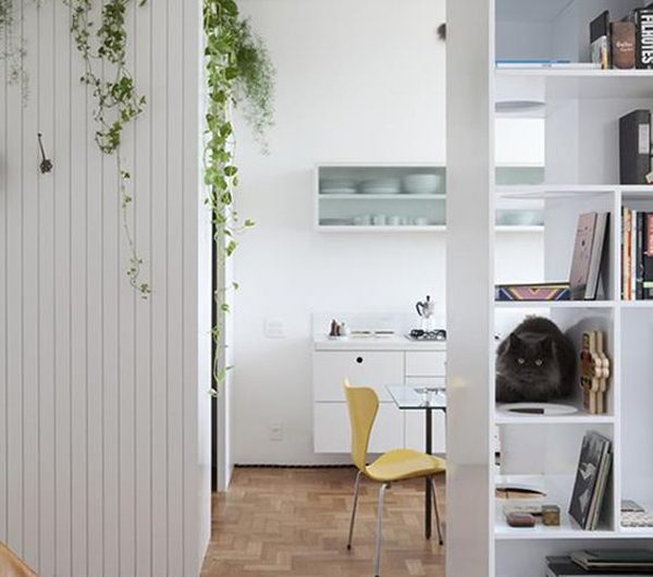 10 Awesome Pet Friendly Room Divider Ideas