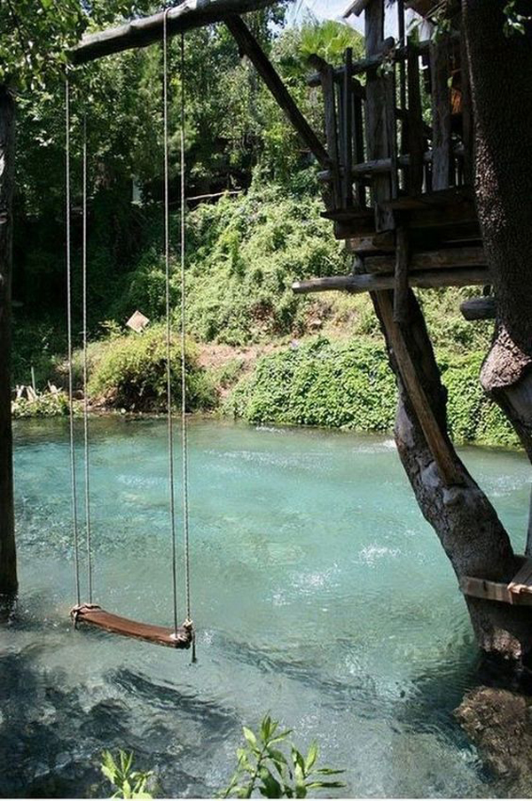 swimming-ponds-with-swing-and-treehouse