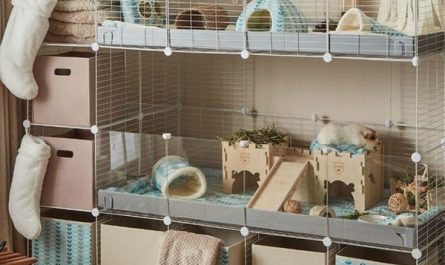 white-c-and-c-cages-for-guinea-pigs