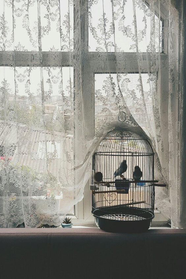 aesthetic-vintage-birdcage-on-the-window
